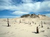 O 2012_Leba 16